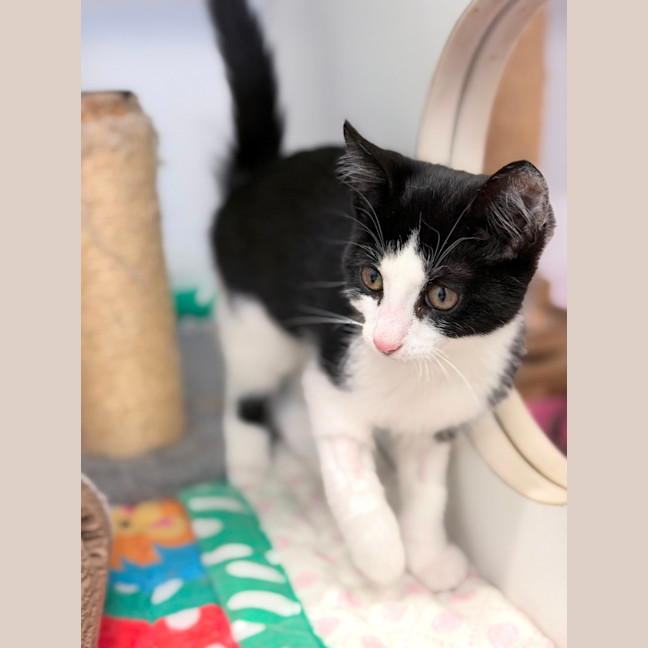 Photo of Lucky