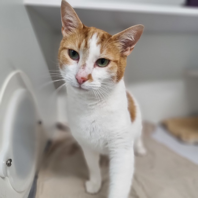 Photo of Kilo