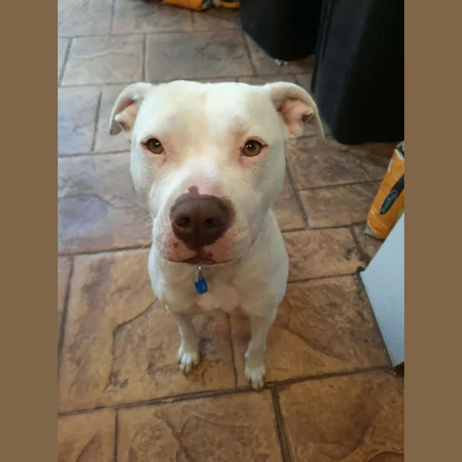Photo of Misty