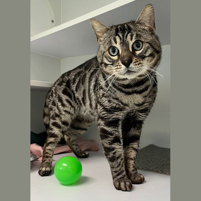 Photo of Mr. Jim Business