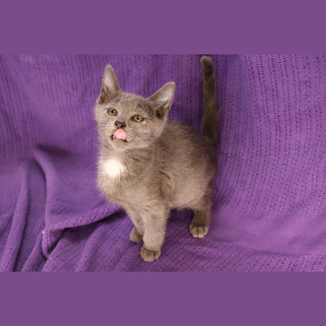 Photo of Tidbit 