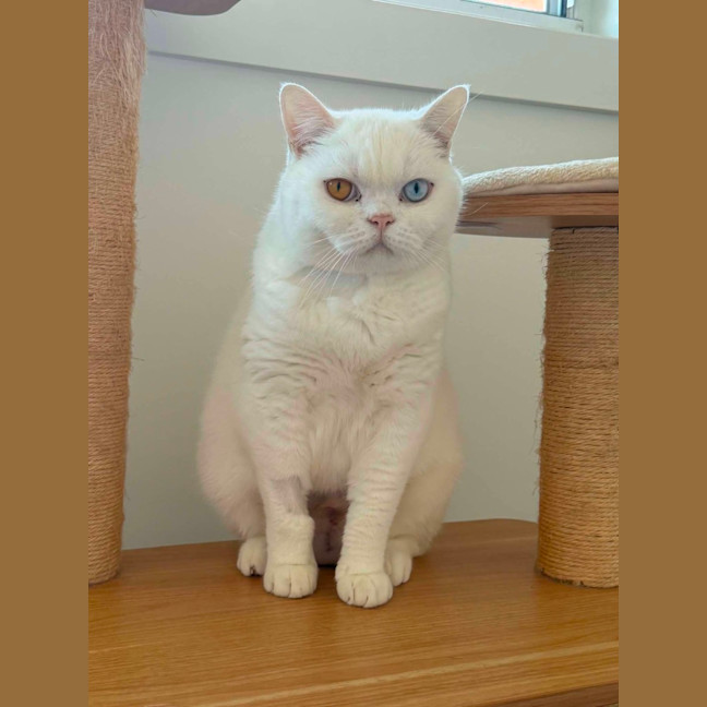 Photo of Gary 