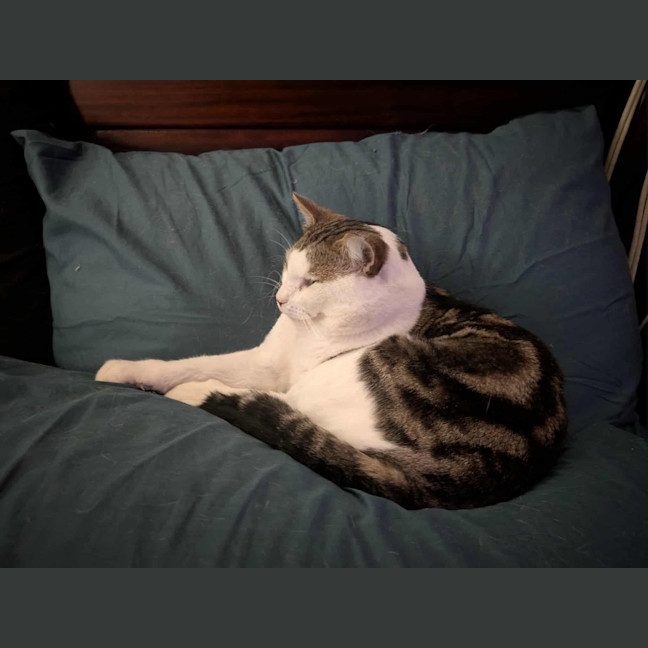 Photo of Pat