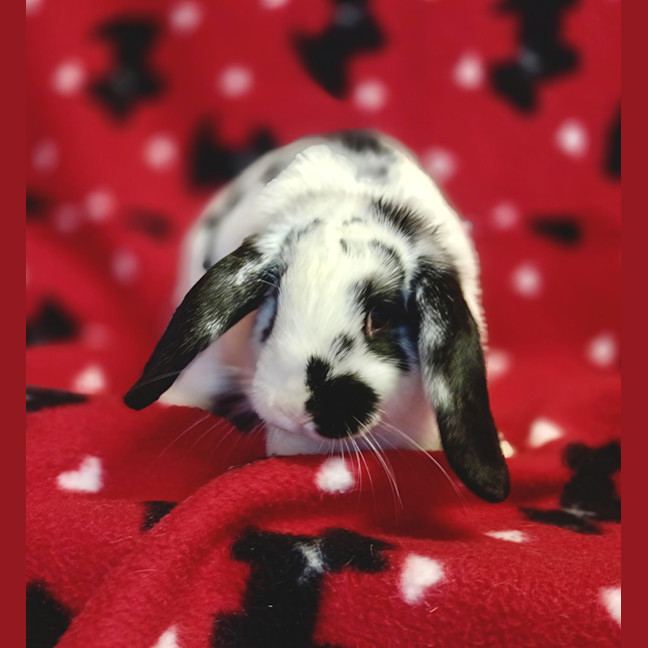 Photo of Anna