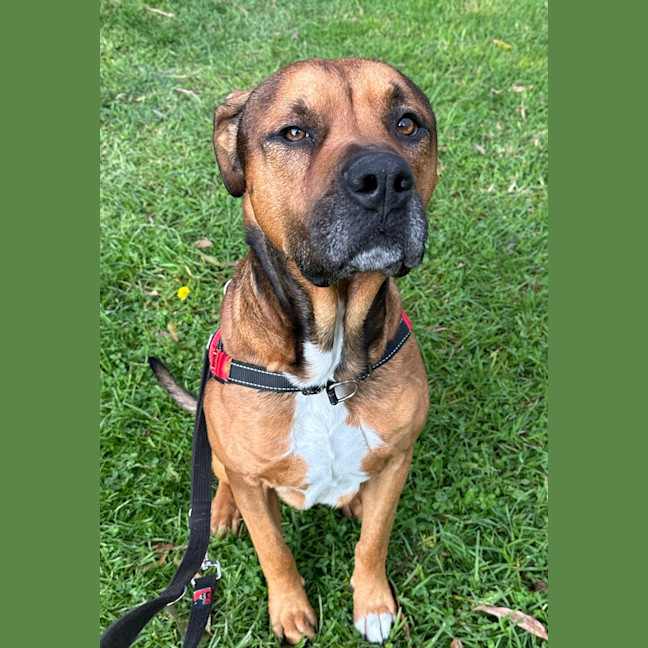 Photo of Zeke