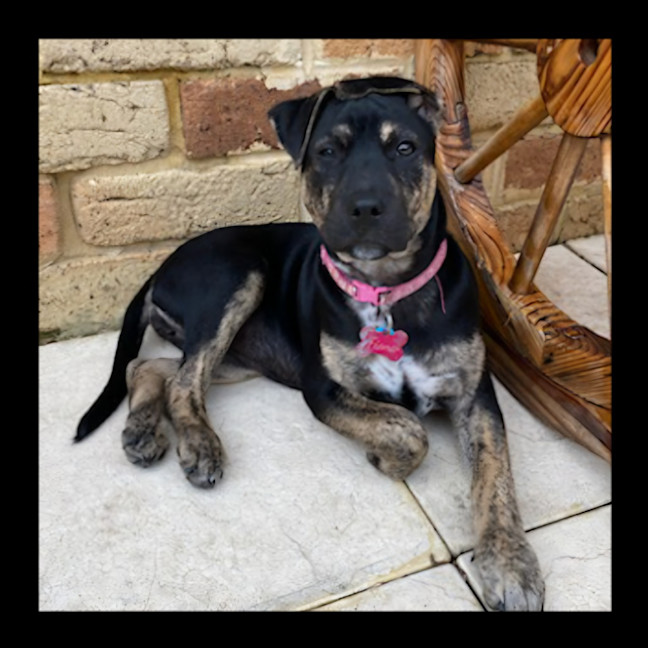 Photo of Princess Fiona