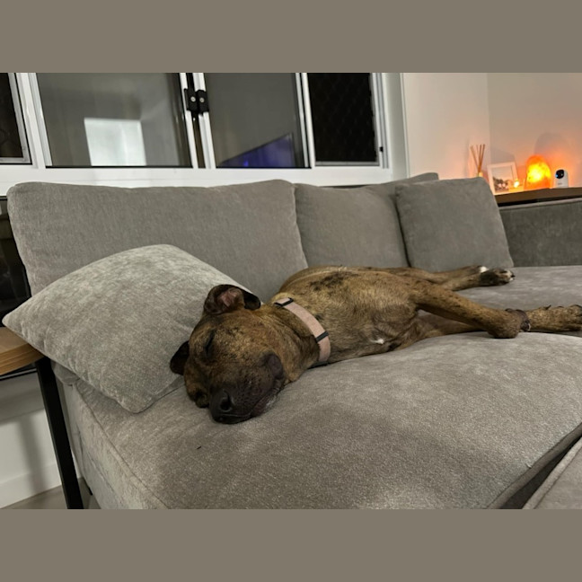 Photo of Lucy