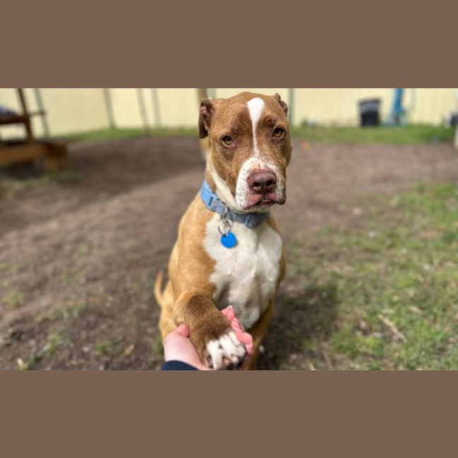 Photo of Benny