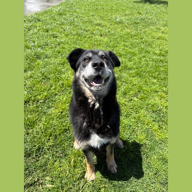 Photo of Zeus 
