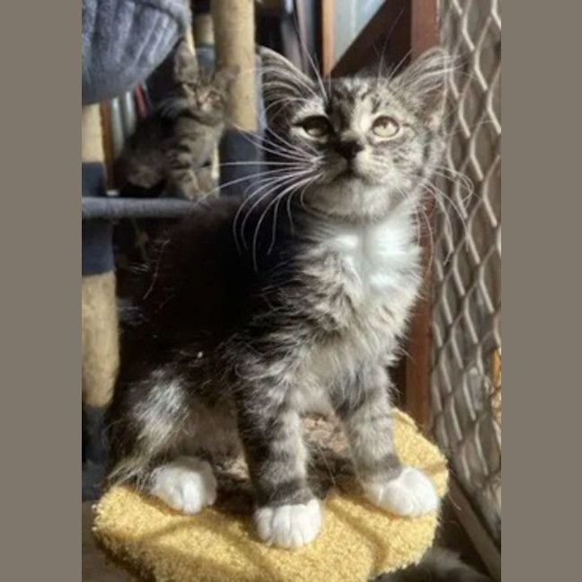 Photo of Jinx