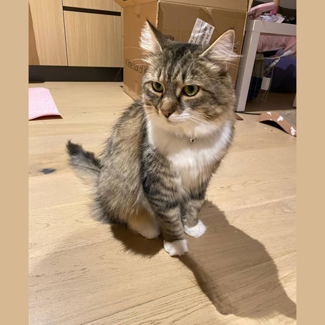 Photo of Diva