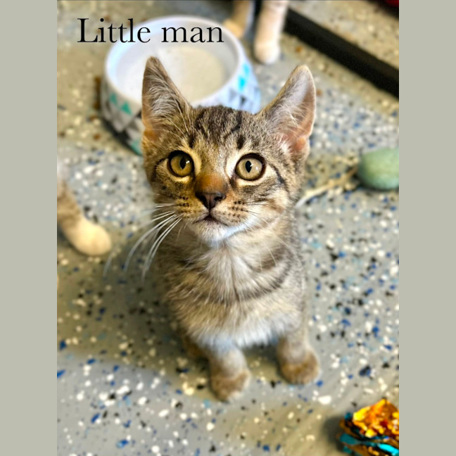 Photo of Little Man