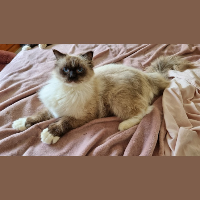 Photo of Neo