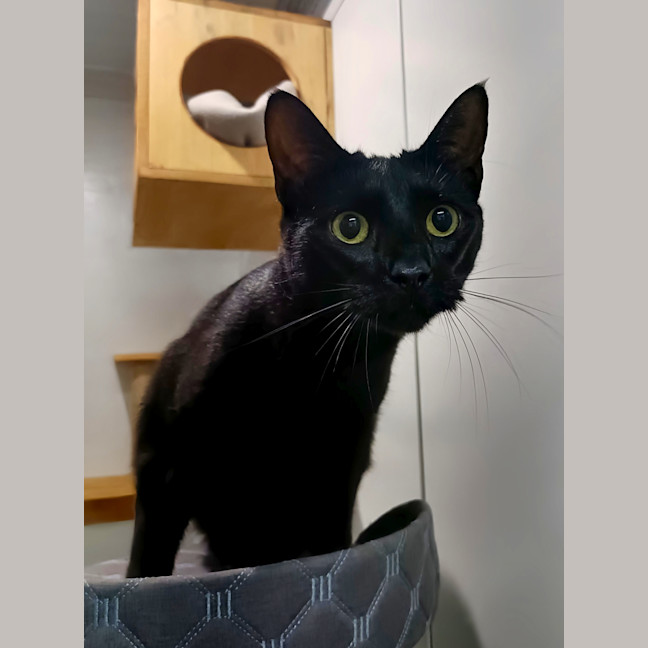 Photo of Void