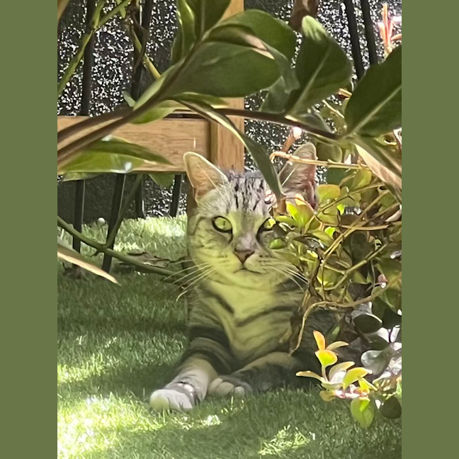 Photo of Sadie