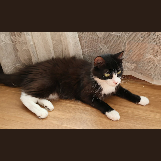 Photo of Michi