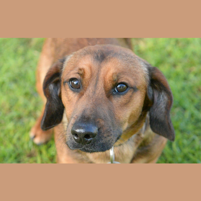 Photo of Oscar