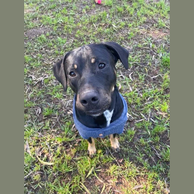 Photo of Maverick