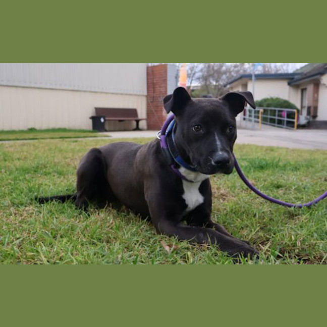 Photo of Princess Poppy