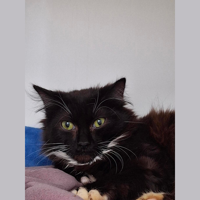 Photo of Odysseus
