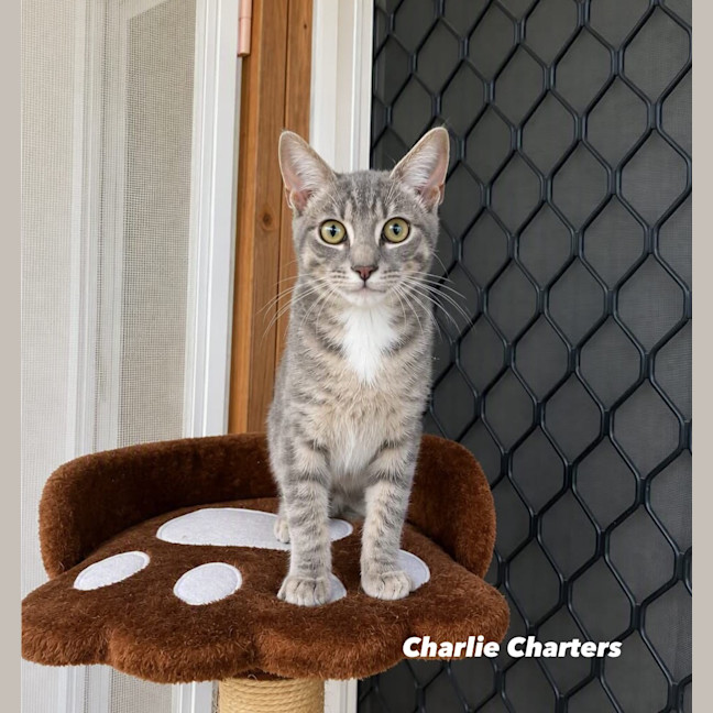 Photo of Charlie Charters
