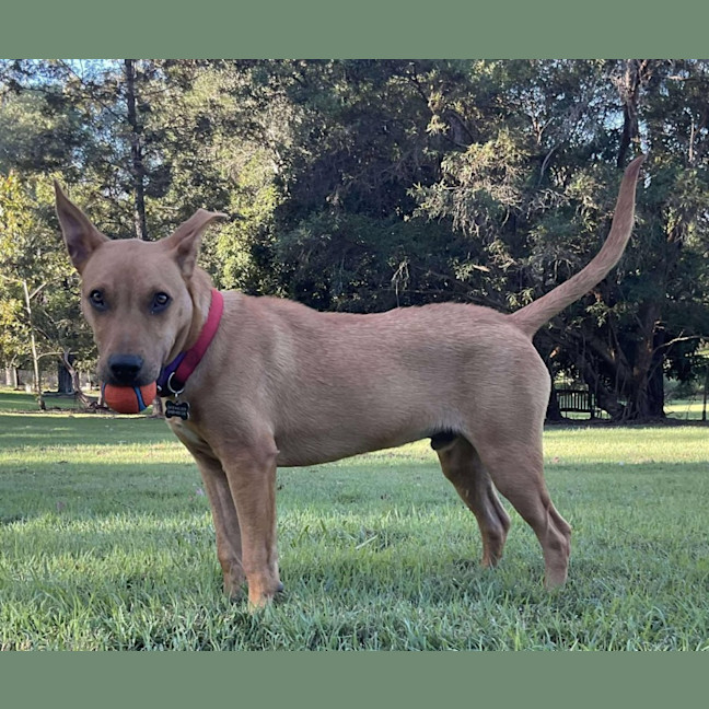 Photo of Buddy