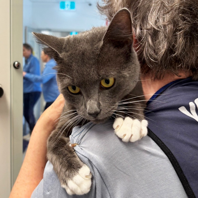 Photo of Arthur Sta013496