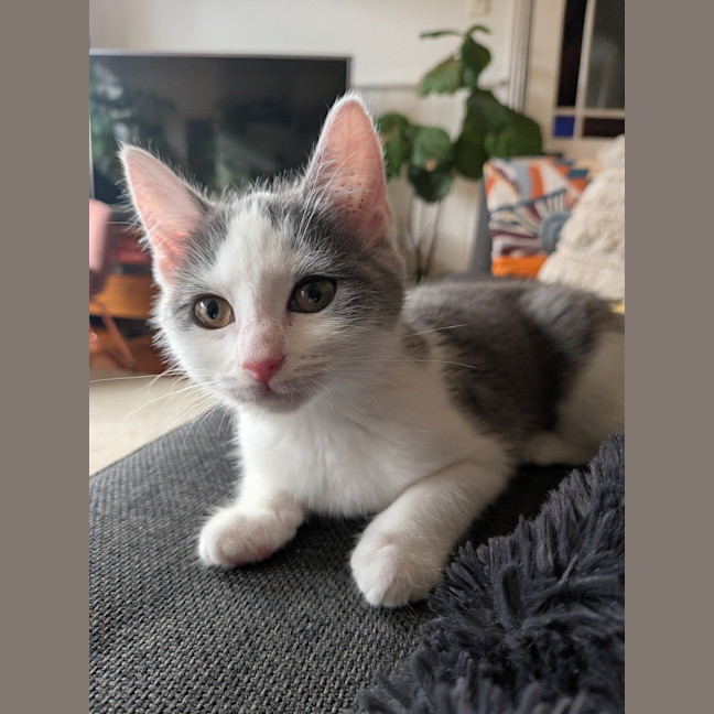 Photo of Charlotte