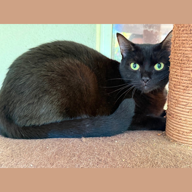 Photo of Tabitha