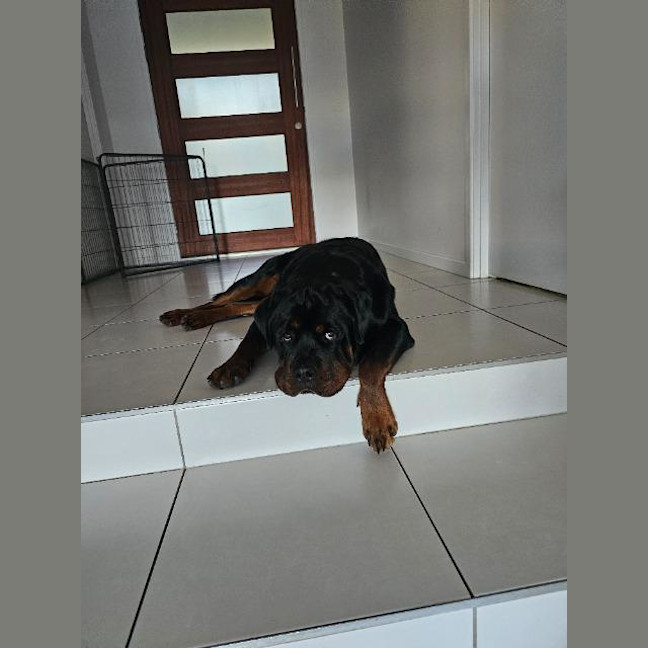 Photo of Leon