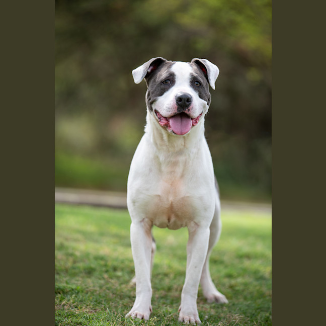 Photo of Zeus