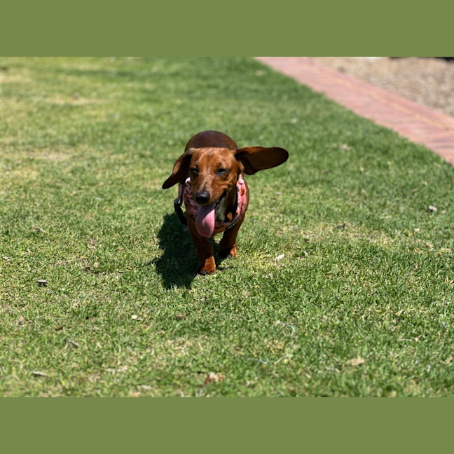 Photo of Lola And Banksy