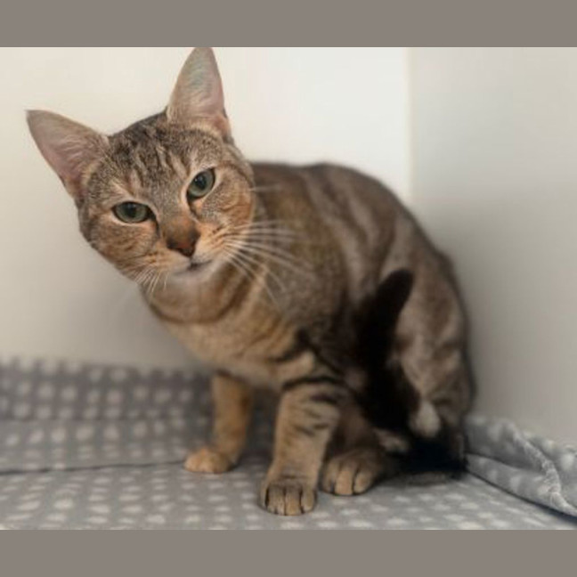 Photo of Meg
