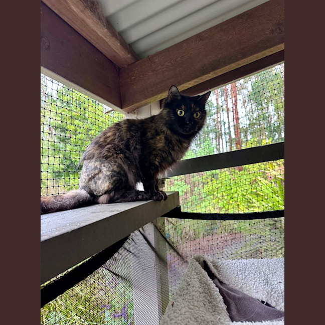 Photo of Cali