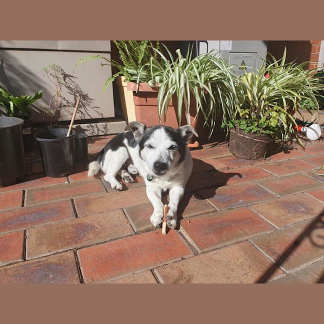 Photo of Laurie Jablonski