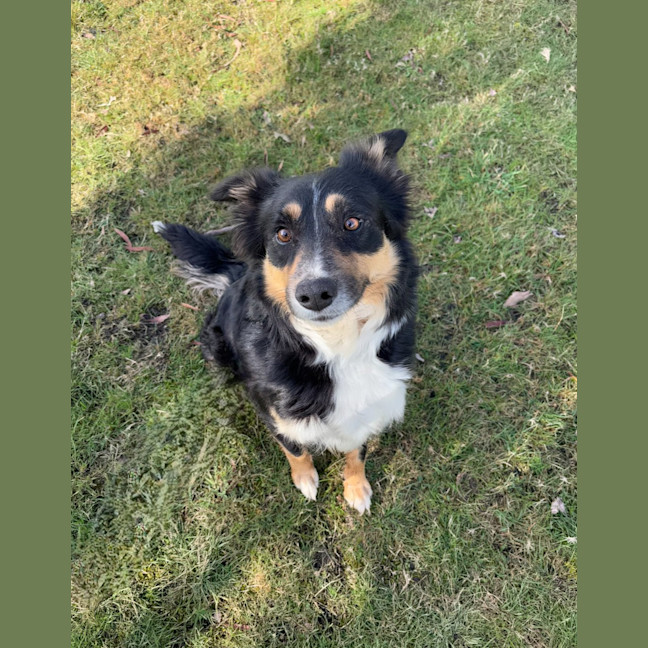 Photo of Ruby