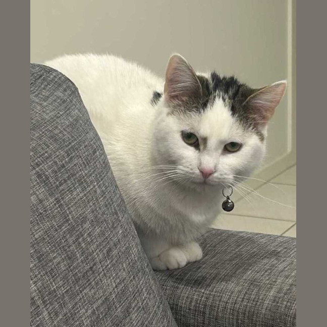Photo of Daisy