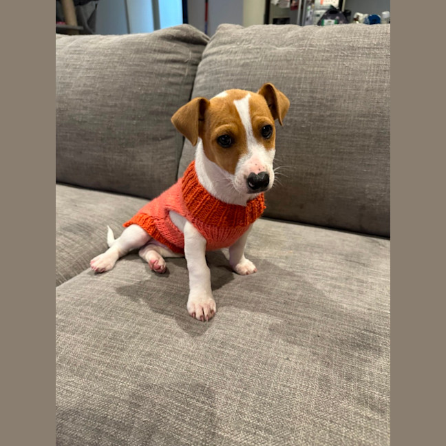 Photo of Gary 