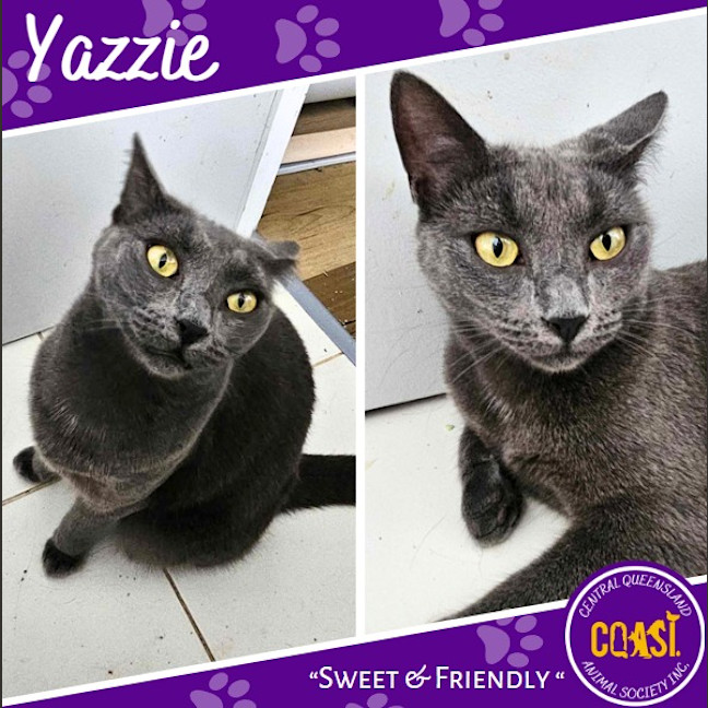Photo of Yazzie