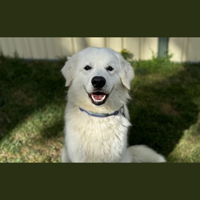 Photo of Murphy