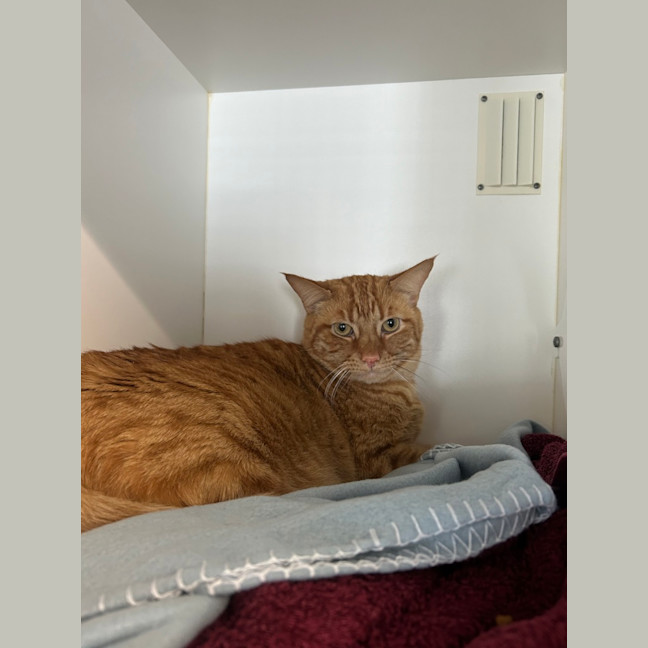 Photo of Mr. Nibbles