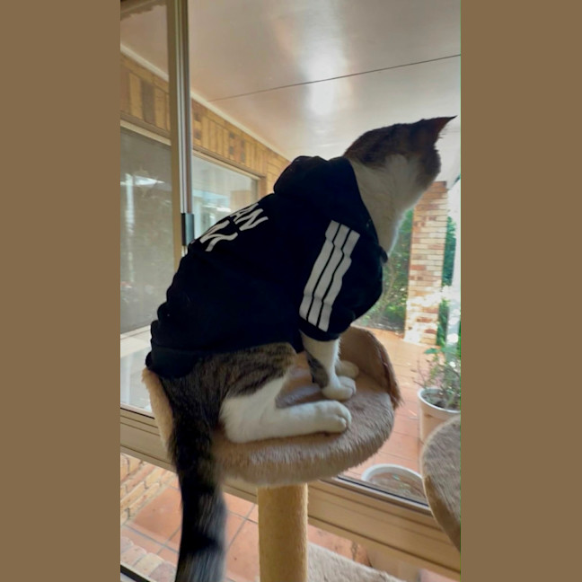 Photo of Hermes
