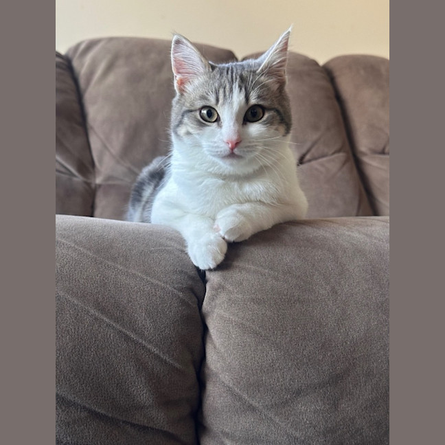 Photo of Ellie