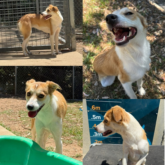 Photo of Maggie