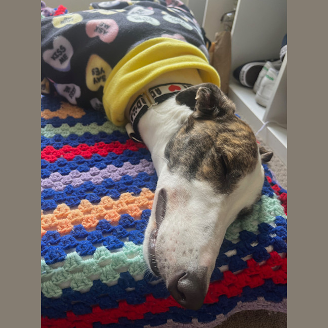 Photo of Betty