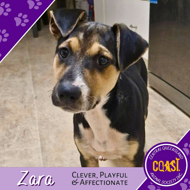 Photo of Zara