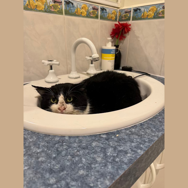 Photo of Bruce Wayne