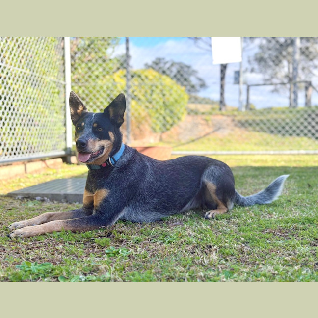 Photo of Kash
