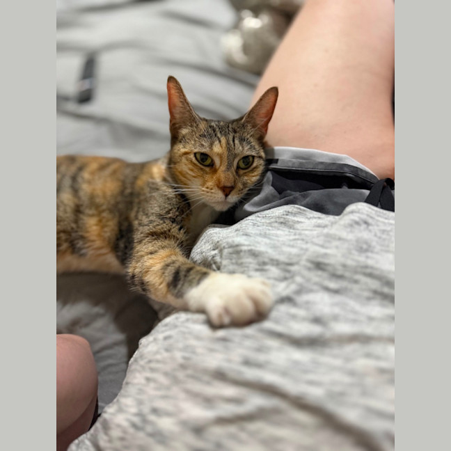 Photo of Calyssa 
