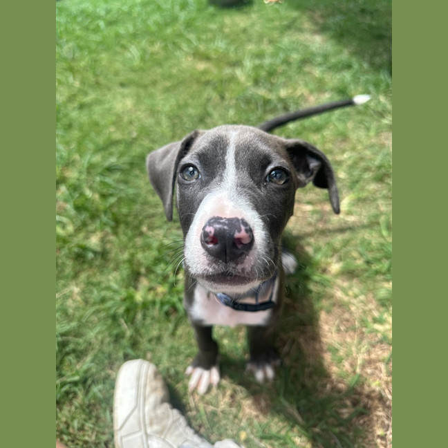 Photo of Hazel